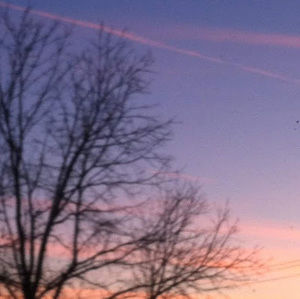 Meet your Posher, Zinnia